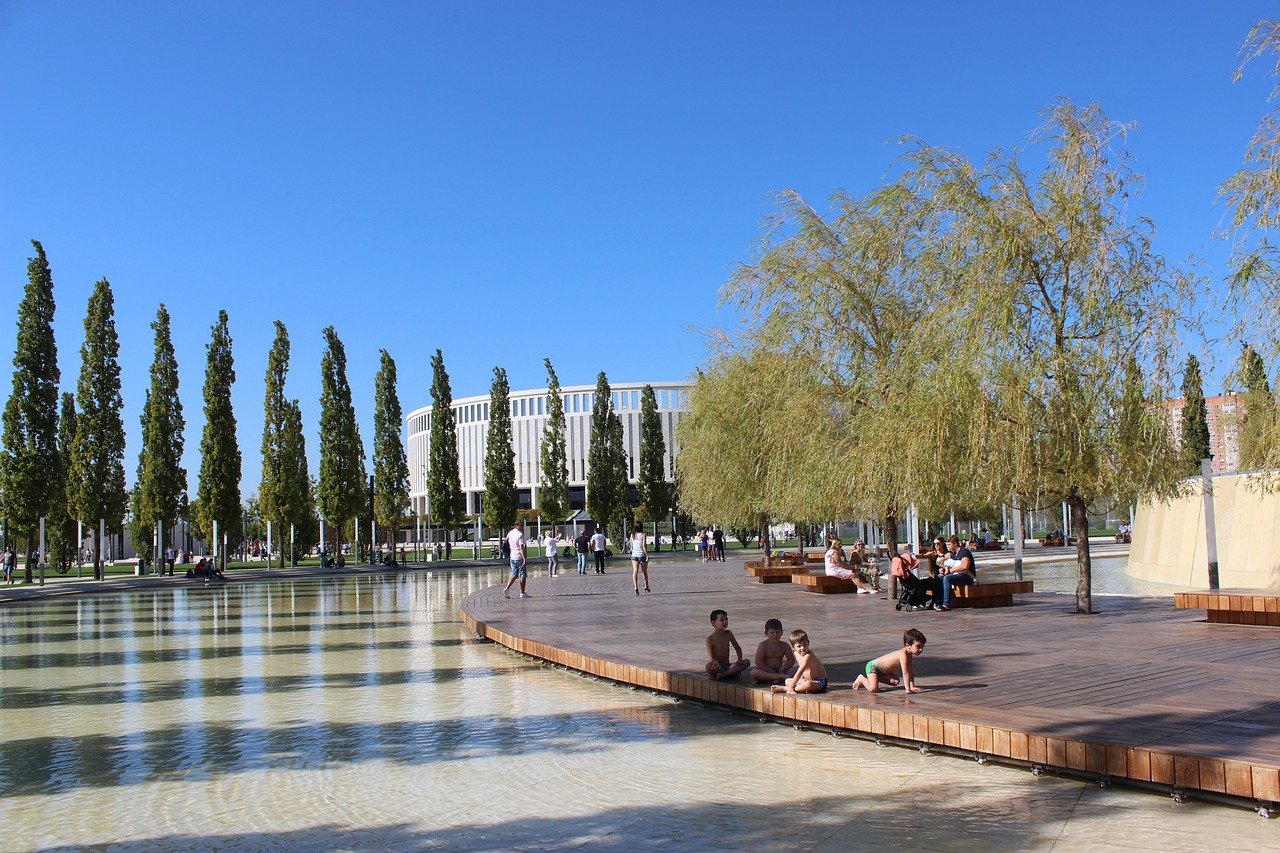 在竞技体育 在竞技体育