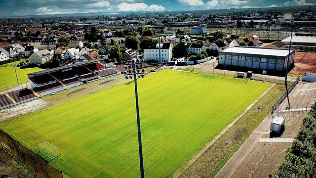 西甲赛场上 西甲赛场上